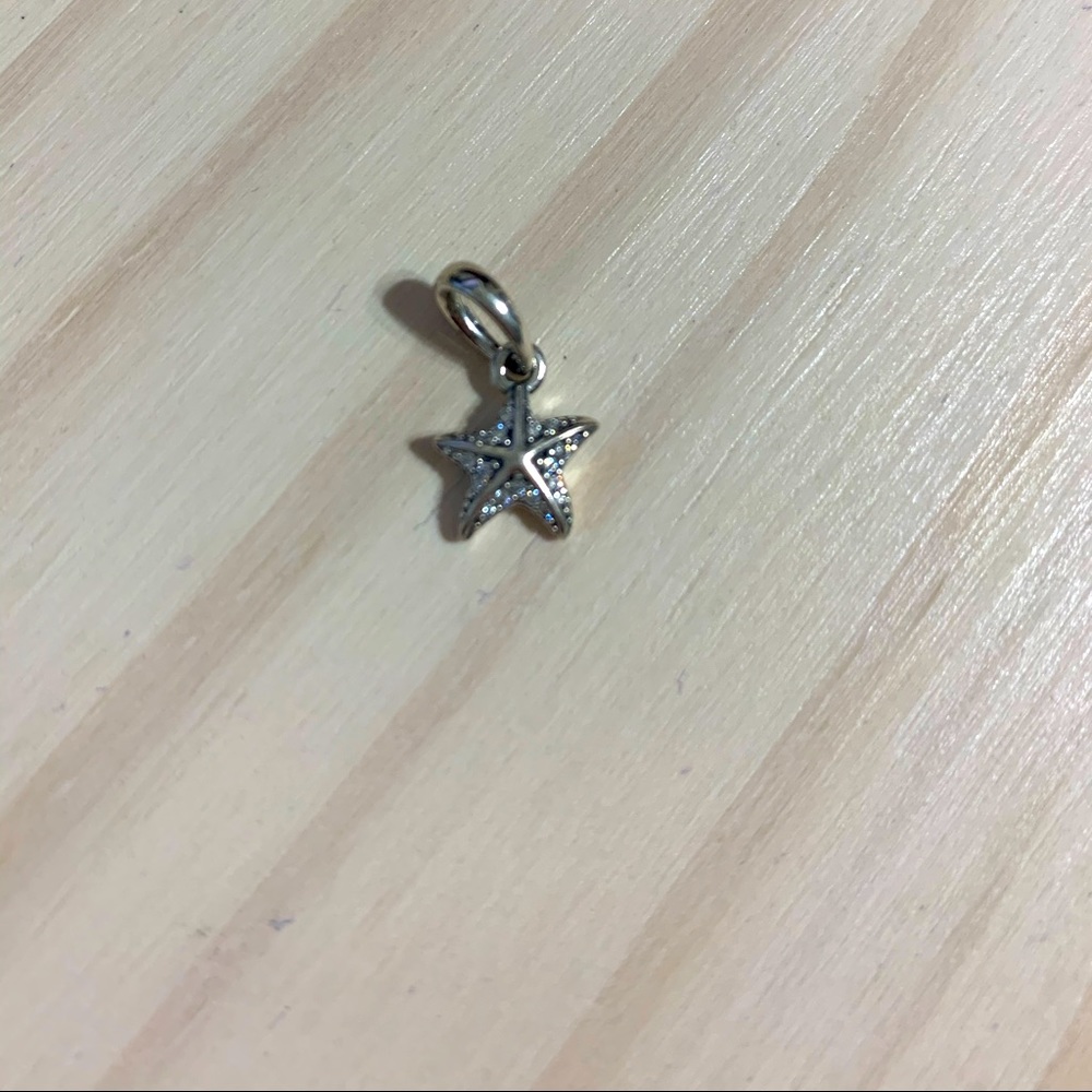 Starfish charm